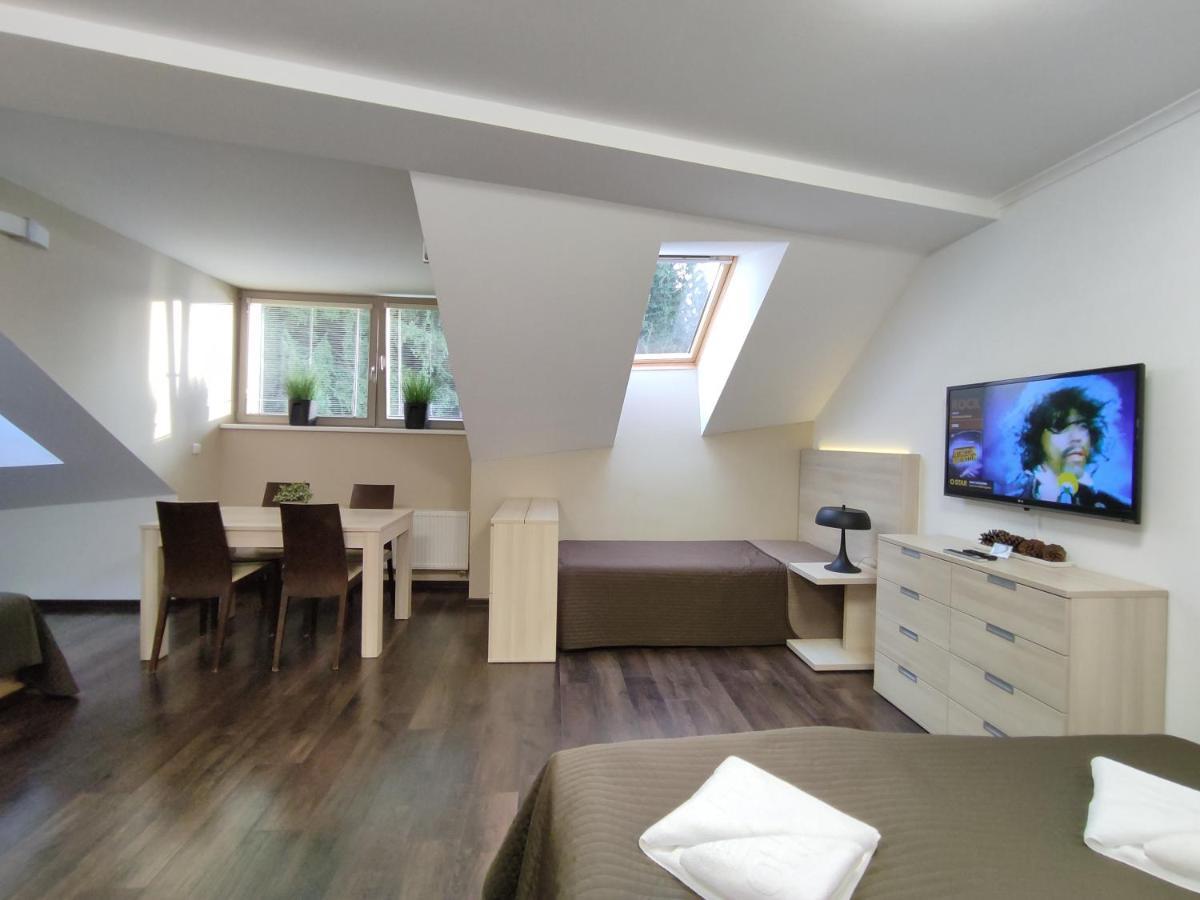 Horsky Apartman C303: Sauna Wellness & Breakfast in Anenske Valley Harrachov Exterior photo