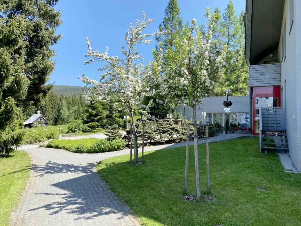 Horsky Apartman C303: Sauna Wellness & Breakfast in Anenske Valley Harrachov Exterior photo